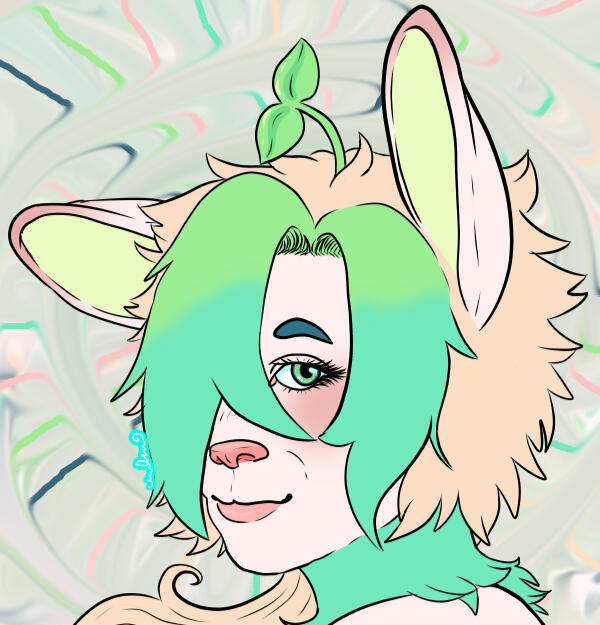 Maple